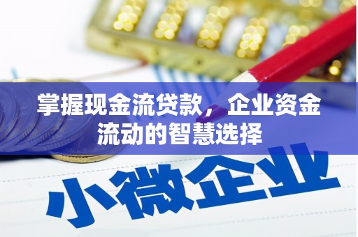 迭部掌握现金流贷款，企业资金流动的智慧选择