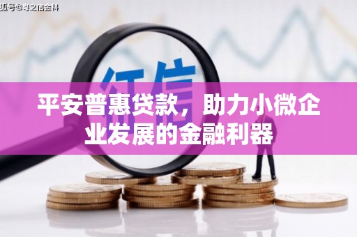 迭部平安普惠贷款，助力小微企业发展的金融利器