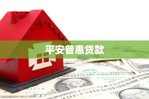 迭部平安普惠贷款