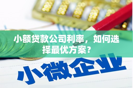 迭部小额贷款公司利率，如何选择最优方案？