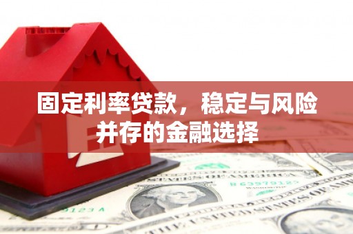迭部固定利率贷款，稳定与风险并存的金融选择