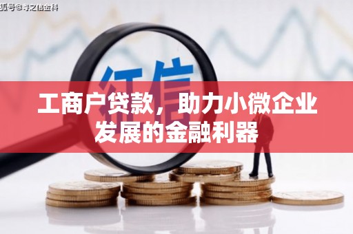 迭部工商户贷款，助力小微企业发展的金融利器