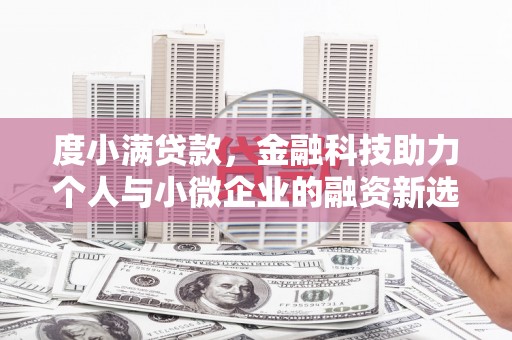 迭部度小满贷款，金融科技助力个人与小微企业的融资新选择