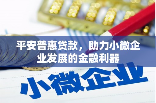 迭部平安普惠贷款，助力小微企业发展的金融利器