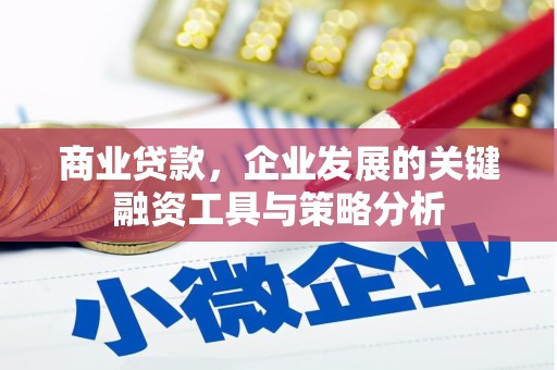 迭部商业贷款，企业发展的关键融资工具与策略分析