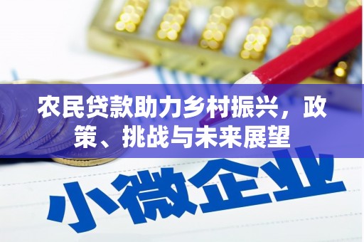 迭部农民贷款助力乡村振兴，政策、挑战与未来展望