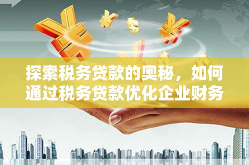 迭部探索税务贷款的奥秘，如何通过税务贷款优化企业财务