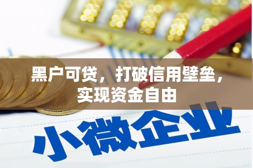 迭部黑户可贷，打破信用壁垒，实现资金自由