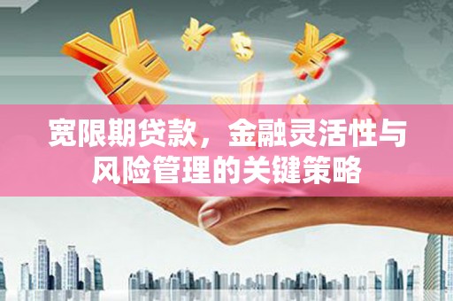 迭部宽限期贷款，金融灵活性与风险管理的关键策略