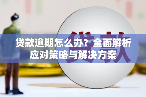 迭部贷款逾期怎么办？全面解析应对策略与解决方案