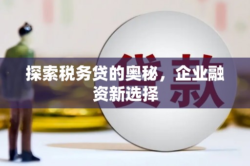 迭部探索税务贷的奥秘，企业融资新选择