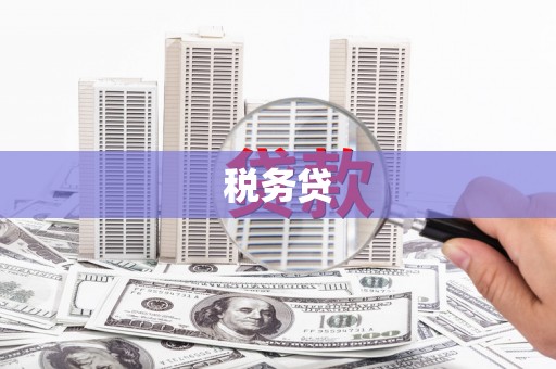 迭部税务贷