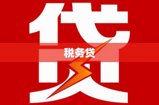 迭部税务贷
