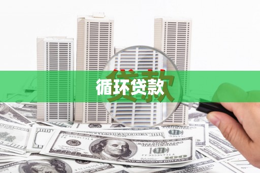 迭部循环贷款