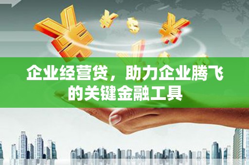 迭部企业经营贷，助力企业腾飞的关键金融工具