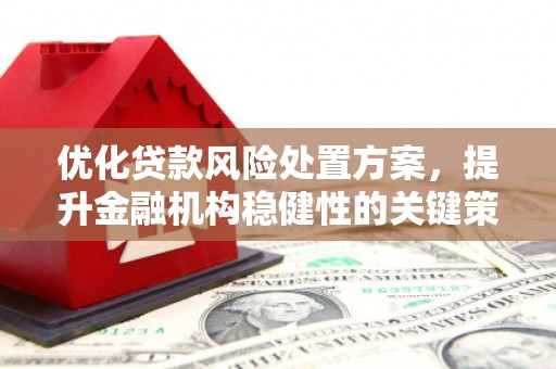 迭部优化贷款风险处置方案，提升金融机构稳健性的关键策略