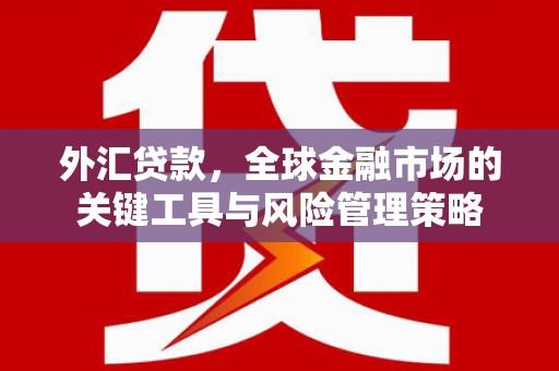 迭部外汇贷款，全球金融市场的关键工具与风险管理策略