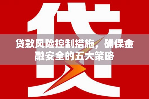 迭部贷款风险控制措施，确保金融安全的五大策略