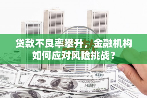 迭部贷款不良率攀升，金融机构如何应对风险挑战？