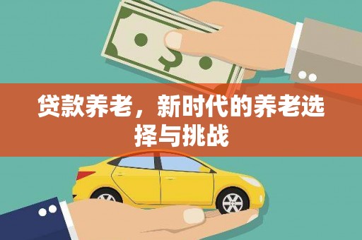 迭部贷款养老，新时代的养老选择与挑战