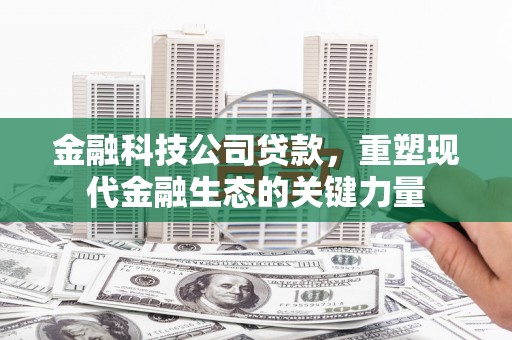 迭部金融科技公司贷款，重塑现代金融生态的关键力量