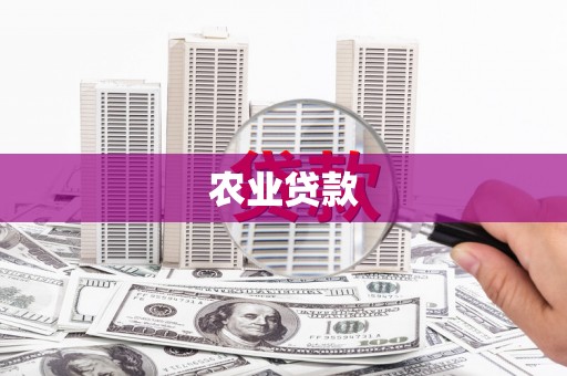 迭部农业贷款