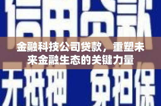 迭部金融科技公司贷款，重塑未来金融生态的关键力量
