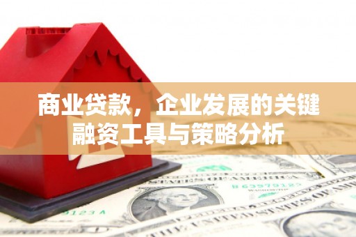 迭部商业贷款，企业发展的关键融资工具与策略分析