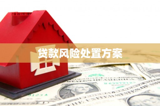 迭部贷款风险处置方案