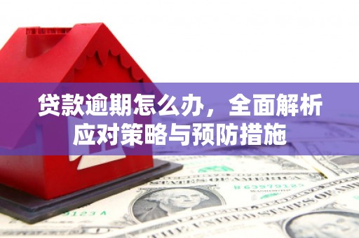 迭部贷款逾期怎么办，全面解析应对策略与预防措施