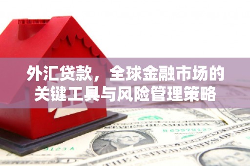 迭部外汇贷款，全球金融市场的关键工具与风险管理策略