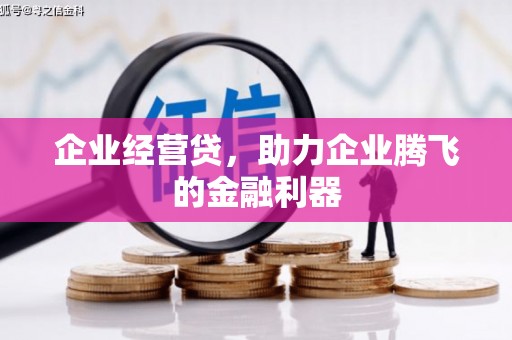迭部企业经营贷，助力企业腾飞的金融利器