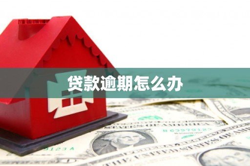 迭部贷款逾期怎么办