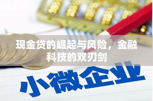 迭部现金贷的崛起与风险，金融科技的双刃剑