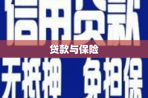 迭部贷款与保险