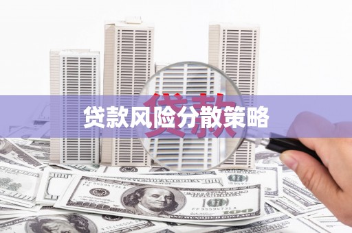 迭部贷款风险分散策略
