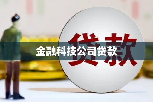 迭部金融科技公司贷款