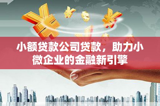 迭部小额贷款公司贷款，助力小微企业的金融新引擎