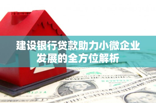迭部建设银行贷款助力小微企业发展的全方位解析