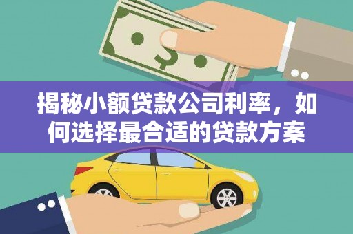 迭部揭秘小额贷款公司利率，如何选择最合适的贷款方案