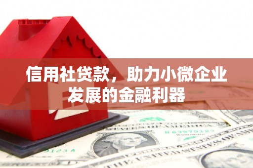 迭部信用社贷款，助力小微企业发展的金融利器
