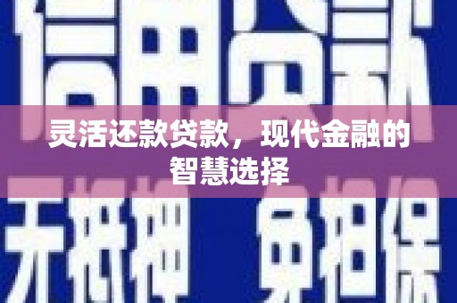 迭部灵活还款贷款，现代金融的智慧选择