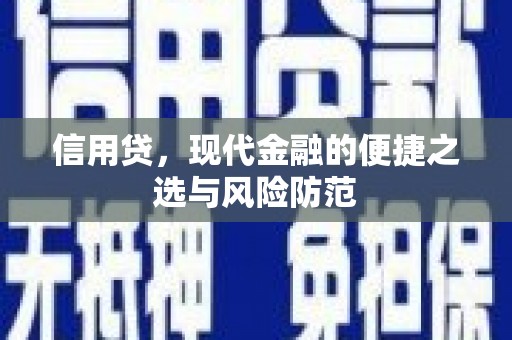 迭部信用贷，现代金融的便捷之选与风险防范