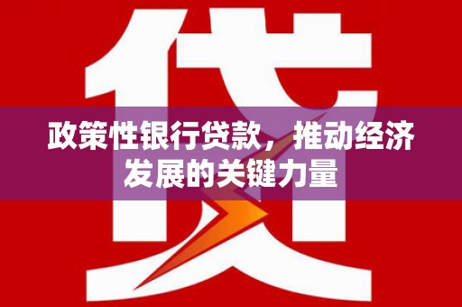 迭部政策性银行贷款，推动经济发展的关键力量