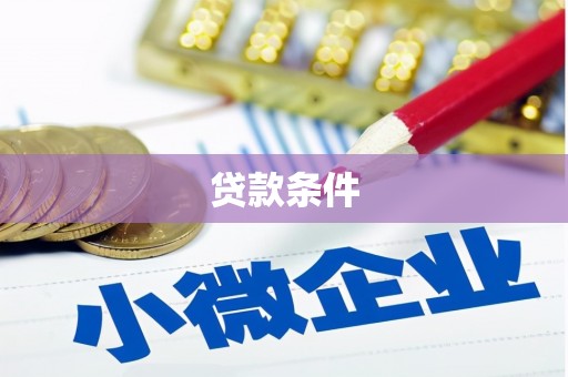 迭部贷款条件