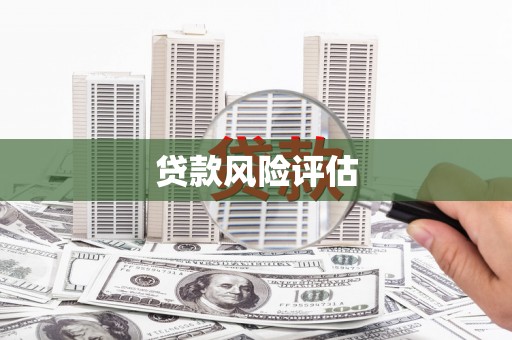 迭部贷款风险评估