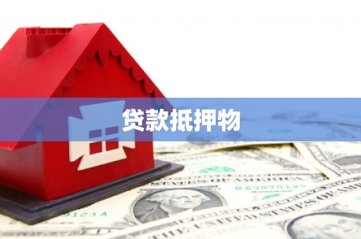 迭部贷款抵押物