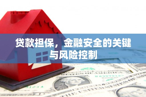 迭部贷款担保，金融安全的关键与风险控制
