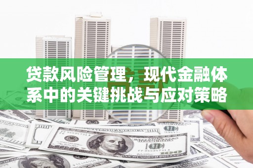 迭部贷款风险管理，现代金融体系中的关键挑战与应对策略