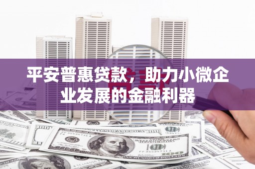 迭部平安普惠贷款，助力小微企业发展的金融利器